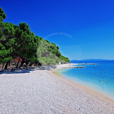 Apartment Petra Baška Voda المظهر الخارجي الصورة
