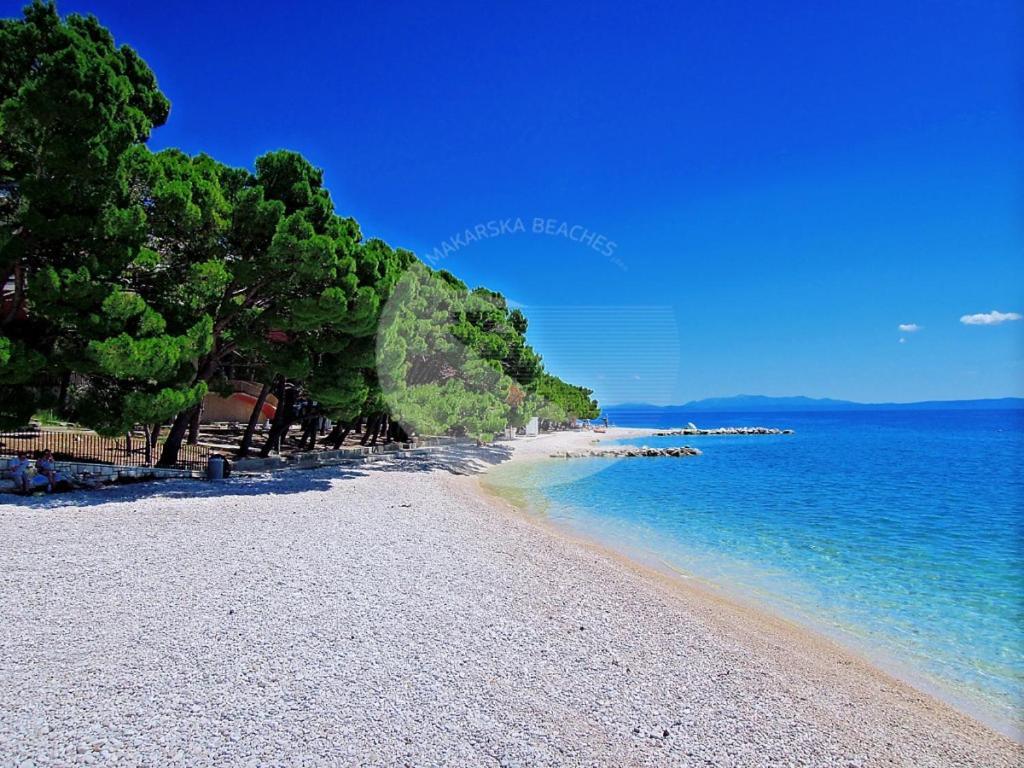 Apartment Petra Baška Voda المظهر الخارجي الصورة